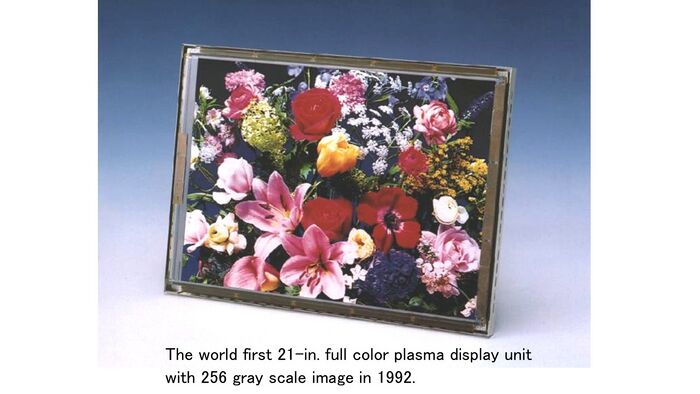 ADS for 256 gray scale display.jpg