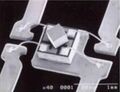 Thumbnail for version as of 01:43, 13 August 2025
