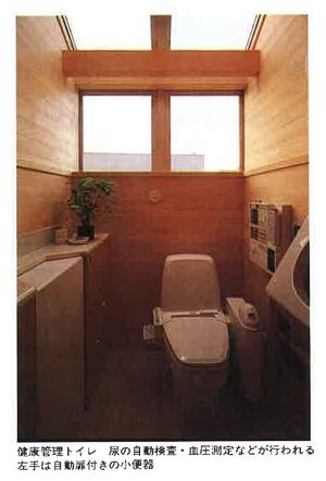 SAKA1990a-toilet.JPG